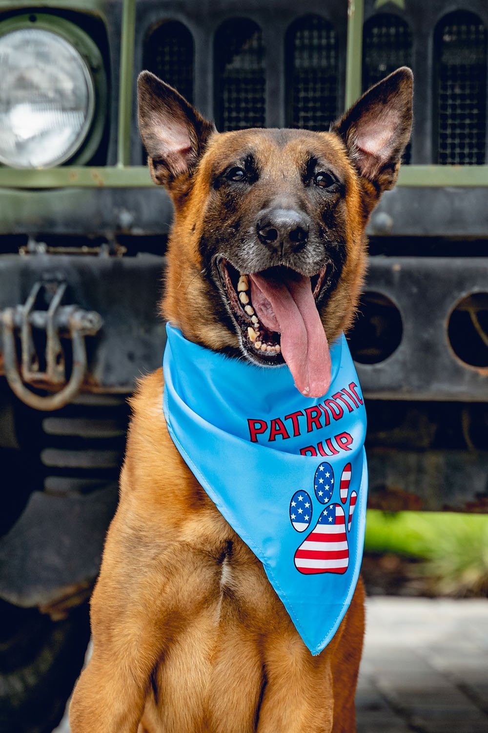 K9 Bandanas